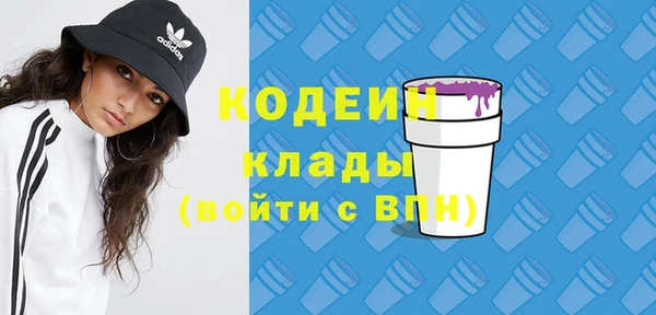дживик Верея