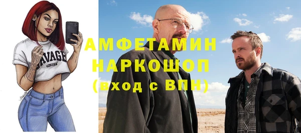 сатива Волоколамск