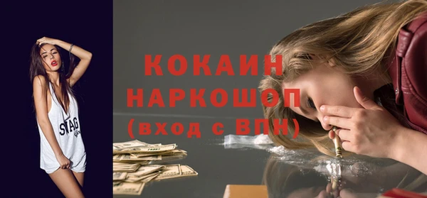 сатива Волоколамск