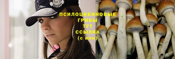 сатива Волоколамск
