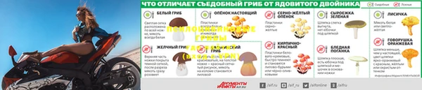 марихуана Волосово