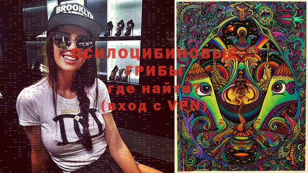 Альфа ПВП Володарск