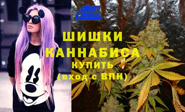 сатива Волоколамск