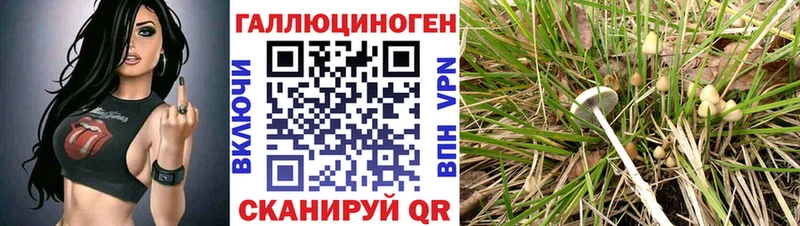 Галлюциногенные грибы мухоморы  Купить где  Павлово 