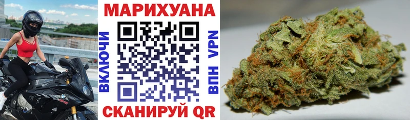 Купить где Павлово Конопля OG Kush